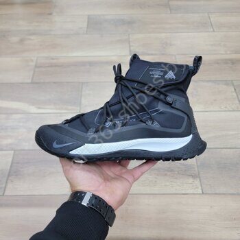 Acg terra globe online